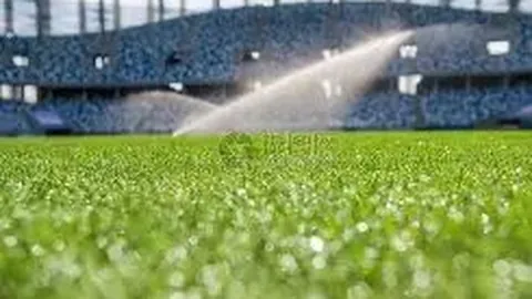 C7娱乐 产品 080945 4d1