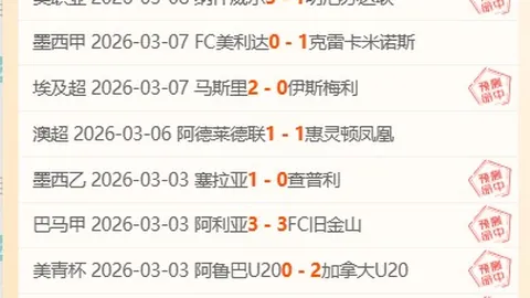大乐透期号专家推荐：主队体能分析及前区十码预测